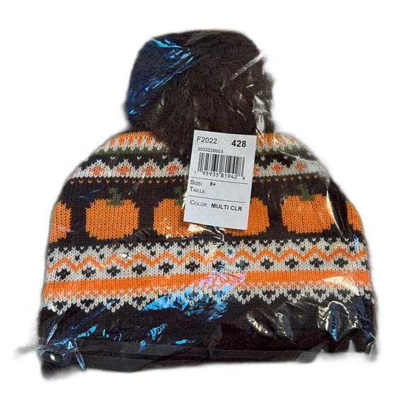 NWT - Gymboree- Fall/ Pumpkin Hat - Size 8+ - Picture 1 of 3